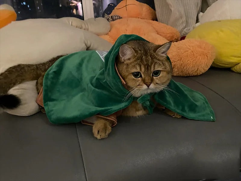 Pet Survey Corps Cloak