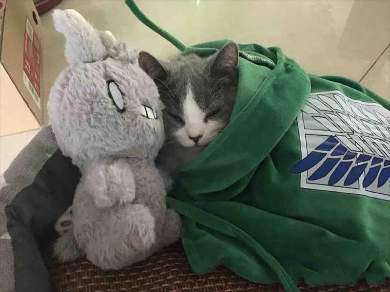 Pet Survey Corps Cloak